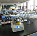 SLM25 Micro- high pressure reactor